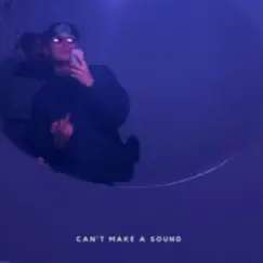 Can't Make a Sound (feat. Keepitinside) - Single by Masked Man album reviews, ratings, credits