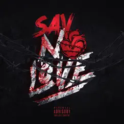 No Love - Single by SAV album reviews, ratings, credits