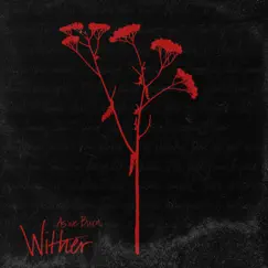 Wither Song Lyrics