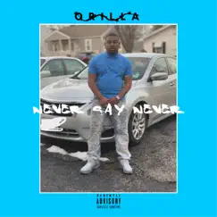 Never Say Never - Single by Orilla album reviews, ratings, credits