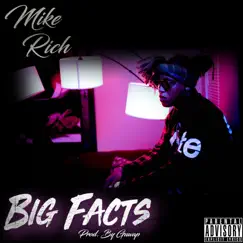 No Cap Big Facts - Single by Mike Rich album reviews, ratings, credits