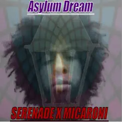 Asylum Dream (feat. Micaroni) Song Lyrics