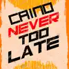 Never Too Late - Single album lyrics, reviews, download