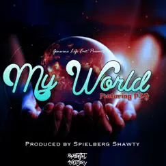 My World (feat. P.I.G) - Single by Blessed Da Truth album reviews, ratings, credits