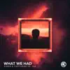 What We Had - Single album lyrics, reviews, download