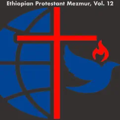 Ethiopian Protestant Mezmur, Vol. 12 by The Christians album reviews, ratings, credits