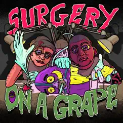 Surgery on a Grape Song Lyrics