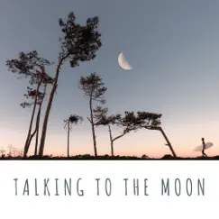 Talking To the Moon (feat. Sherene) Song Lyrics