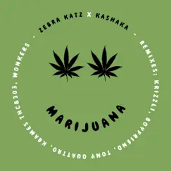 Marijuana (Krames 303&ThcRemix) Song Lyrics
