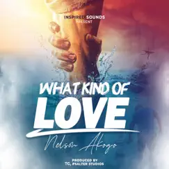 What Kind of Love - Single by Nelson Akogo album reviews, ratings, credits