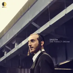 The Perfect Dream by Shulem album reviews, ratings, credits