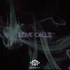 Love Calls (Instrumental) song lyrics