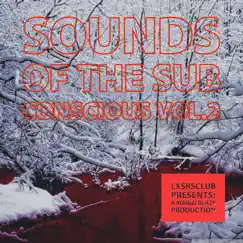 Sounds of the Sub Conscious, Vol.2 - Single by Marlo Blaze album reviews, ratings, credits