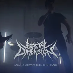 Snakes Always Bite the Hand - Single by Fractal Dimension album reviews, ratings, credits