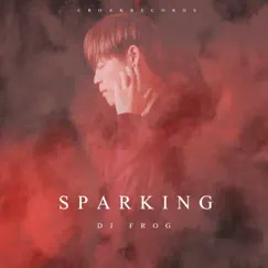 Sparking - Single by DJ Frog album reviews, ratings, credits