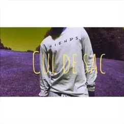 Cul De Sac - Single by Slim Watson album reviews, ratings, credits