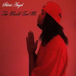 The World Feel Me - Single by Silent Angel album reviews, ratings, credits