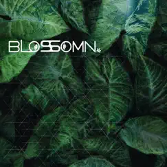 Susurrus - Single by Blossomn album reviews, ratings, credits