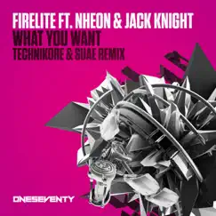What You Want (Technikore & Suae Remix - Extended) [feat. Nheon & Jack Knight] Song Lyrics