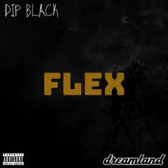 Flex - Single by Dip Black album reviews, ratings, credits
