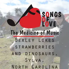 Bexley Likes Strawberries and Dinosaurs, Sylva, North Carolina - Single by T. Jones album reviews, ratings, credits