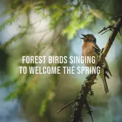 Forest Birds Singing to Welcome the Spring: Natural Relaxing Sounds to Calm the Stressed Mind by Alpine Sounds album reviews, ratings, credits