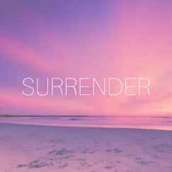 Surrender - Single by The Settlement album reviews, ratings, credits