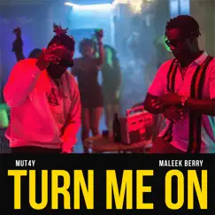 Turn Me On - Single by Mut4y & Maleek Berry album reviews, ratings, credits