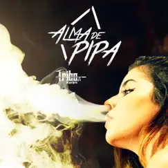Alma de Pipa - Single by Tribo da Periferia album reviews, ratings, credits