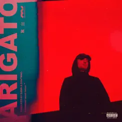 Arigato - Single by Louis Valuta album reviews, ratings, credits
