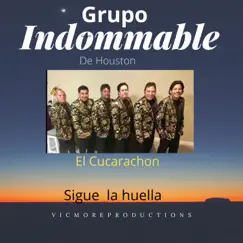 El Cucarachon - Single by Grupo Indommable de Houston album reviews, ratings, credits