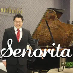 Senorita (Piano Version) Song Lyrics
