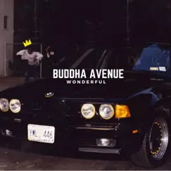 Wonderful by Buddha Avenue album reviews, ratings, credits