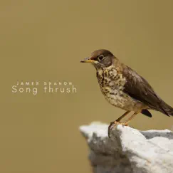 Song Thrush - Single by James Shanon album reviews, ratings, credits