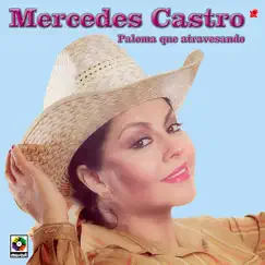 Paloma Que Atravesando by Mercedes Castro album reviews, ratings, credits