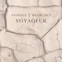 Animals / Branches - Single by Voyageur album reviews, ratings, credits