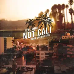 Not Cali. (feat. Gold Digging) - Single by Realismos album reviews, ratings, credits