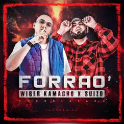 Forrao' Song Lyrics