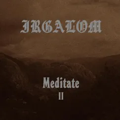 Meditation, Vol. 2 by Irgalom album reviews, ratings, credits