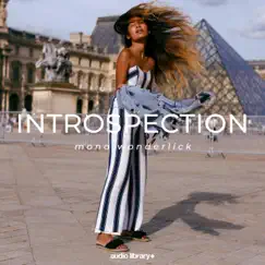 Introspection - Single by Mona Wonderlick album reviews, ratings, credits