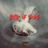 Bag of Dope (feat. Ymt Acp) - Single album lyrics, reviews, download