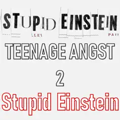 Stupid Einstein - Single by Stupid Einstein album reviews, ratings, credits