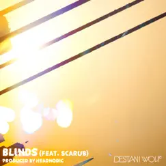 Blinds (feat. Scarub) - Single by Destani Wolf & Headnodic album reviews, ratings, credits
