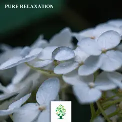 Pure Relaxation by Mother Nature Sound FX album reviews, ratings, credits