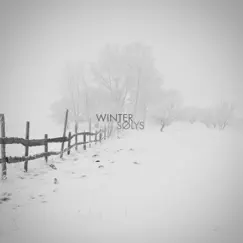 Winter - Single by SØLYS album reviews, ratings, credits