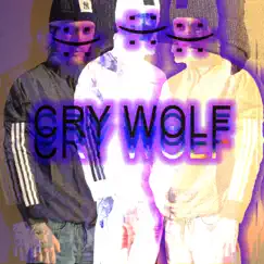 Cry Wolf - Single by Lil Happy Lil Sad album reviews, ratings, credits