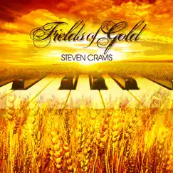 Fields of Gold ( Solo Piano Instrumental ) Song Lyrics