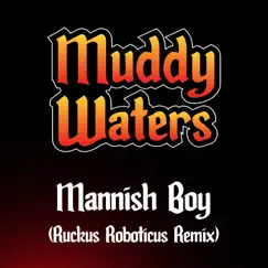 Mannish Boy (Ruckus Roboticus Remix) Song Lyrics