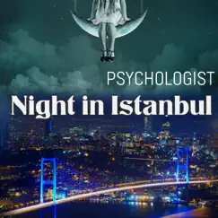 Night in Istanbul - Single by Psychologist album reviews, ratings, credits