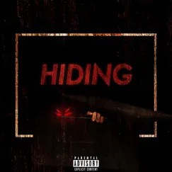 Hiding - Single by Dyshaun album reviews, ratings, credits